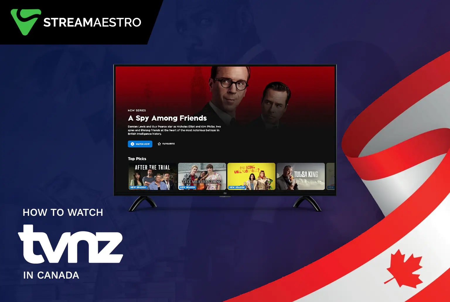 How to Watch TVNZ in Canada with a VPN [Complete Guide February 2023]